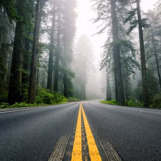 American road wallpaper