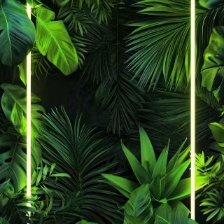 Green wallpaper