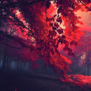 1920x1080 wallpaper