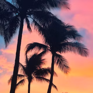 Sunset wallpaper