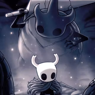 Hollow Knight phone HD wallpaper