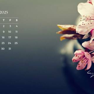 January 2025 wallpaper