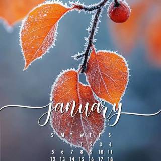 January 2025 wallpaper