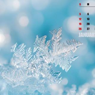 January 2025 wallpaper