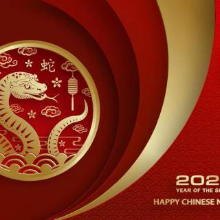Year of The Snake 2025 wallpaper