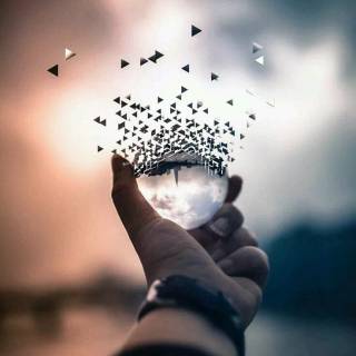 Photography wallpaper