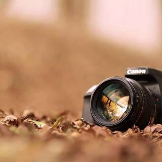 Photography wallpaper