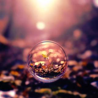 Photography wallpaper