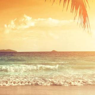 Dual Monitor wallpaper