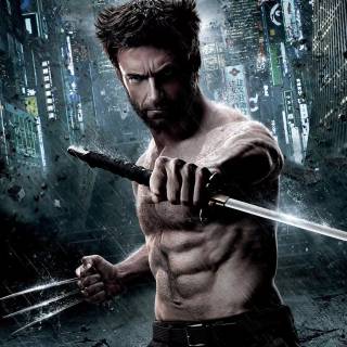 Wolverine wallpaper