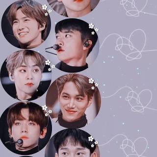 EXO wallpaper