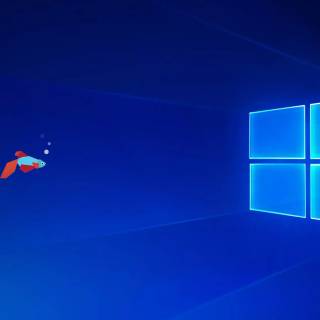 Windows 10 wallpaper