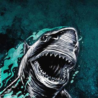 Shark wallpaper