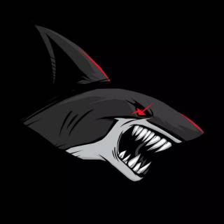 Shark wallpaper