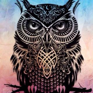 Owl wallpaper