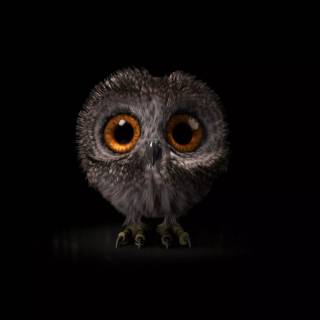 Owl wallpaper