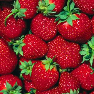 Strawberry wallpaper