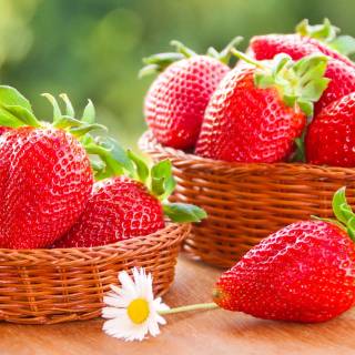 Strawberry wallpaper