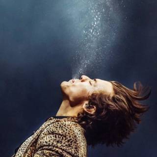 Harry Styles wallpaper