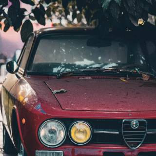 Alfa Romeo wallpaper