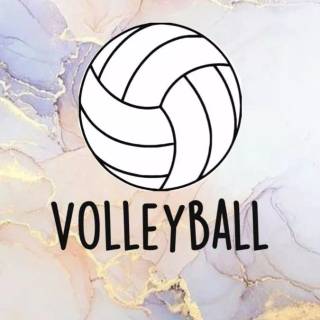 Volleyball wallpaper