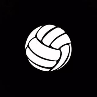 Volleyball wallpaper