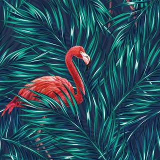 Flamingo wallpaper