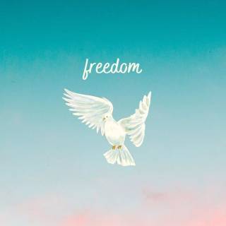 Freedom wallpaper