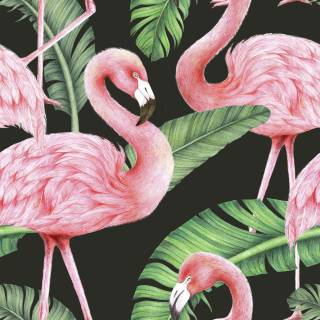 Flamingo wallpaper