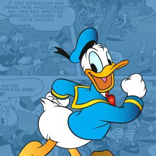 Donald Duck wallpaper