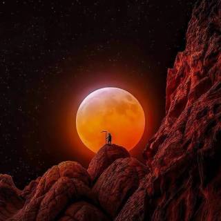 Nature night phone wallpaper