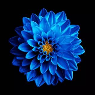 Super AMOLED wallpaper