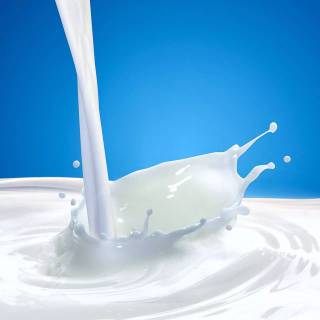 Milk wallpaper