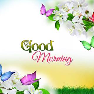 Good morning wallpaper
