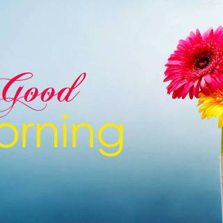 Good morning wallpaper