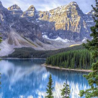 Nature 8k phone wallpaper