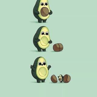 Avocado wallpaper