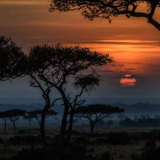 South Africa wallpaper