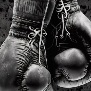 Boxing wallpaper