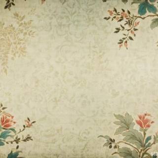 Qing Dynasty wallpaper