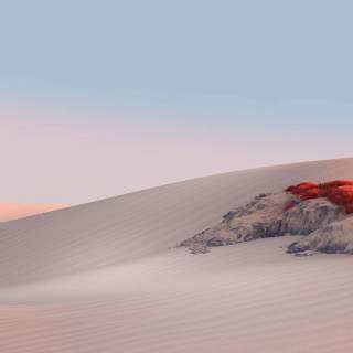 Microsoft Surface wallpaper