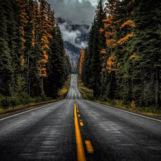 Washington State wallpaper