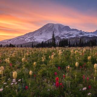 Washington State wallpaper