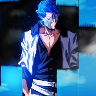 Grimmjow Jaegerjaquez wallpaper