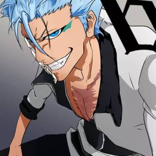 Grimmjow Jaegerjaquez wallpaper