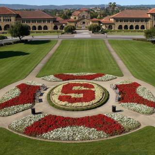 Stanford University wallpaper