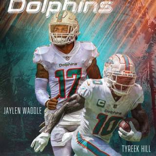 Miami Dolphins wallpaper