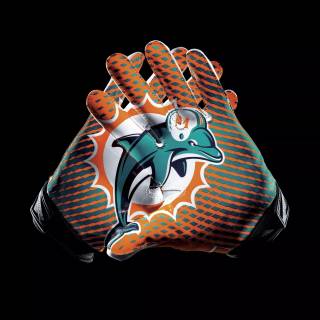 Miami Dolphins wallpaper