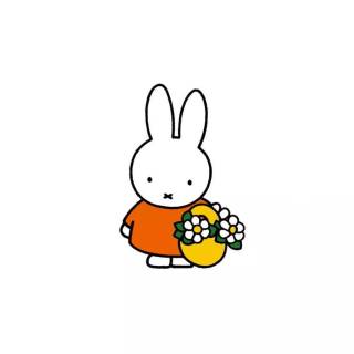 Miffy wallpaper
