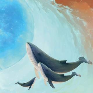 Whale wallpaper